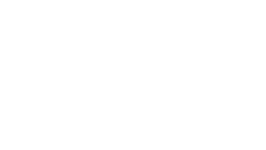 Logo white
